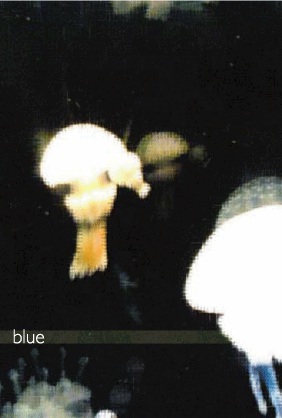 BLUE 2006